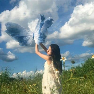 谁陷害了兔子罗杰